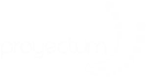 Proyectum | Capitel Consulting